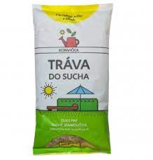 Kedy sa seje tráva: Kompletný sprievodca