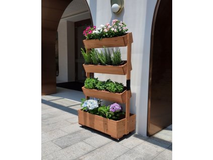 Ako zazimovať trvalky a bylinky, aby prežili mráz – kompletný sprievodca