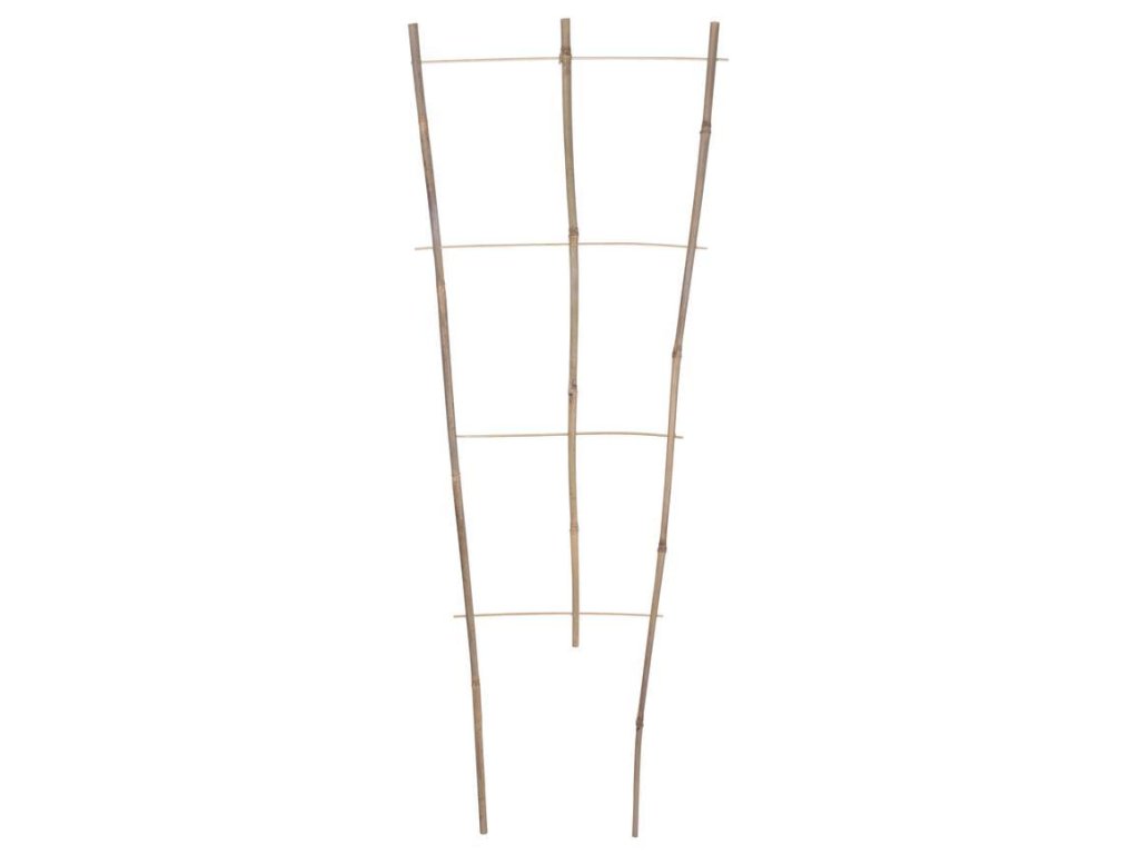 cc3fe10e9f2799faa5a7aa0bac0ba8f8