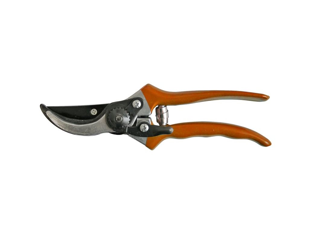 Nožnice Strend Pro P0807, záhradné, na hrozno a konáre, pre vinárov, 200 mm