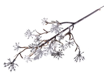 Vetvička MagicHome Vianoce, Sedum.Silver, strieborná, 14x30 cm