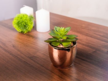 Sukulent MagicHome S34040, 12 cm, črepník- cement, zlatý, umelý