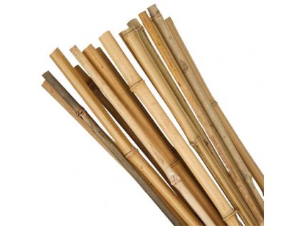 Tyč Garden KBT 1500/12-14 mm, bal. 10 ks, bambus, oporná k rastlinám