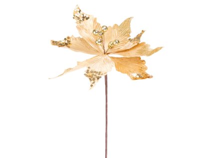 Kvet MagicHome Vianoce, Poinsettia, zlatý, stonka, 46 cm, veľkosť kvetu: 30 cm