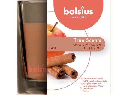 Sviečka Bolsius Jar True Scents 95/95 mm, vonná, škorica/jablko, v skle