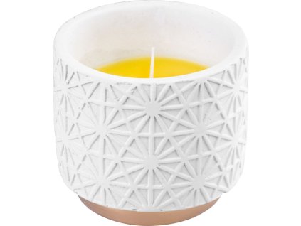 Sviečka Citronella, biela, repelentná, v dekoračnom kvetináči, 200 g, 110x100 mm