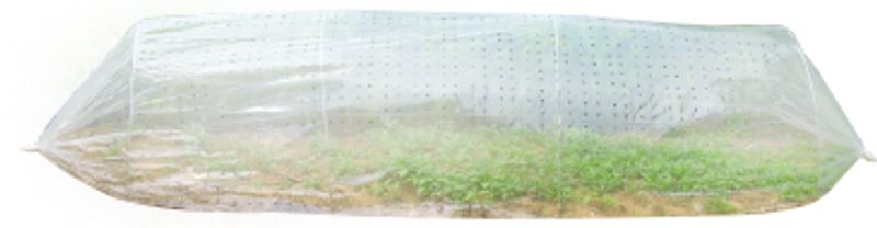 STREND PRO Garden Parenisko Strend Pro Garden, 310x100 cm, mini fóliovník, perforované