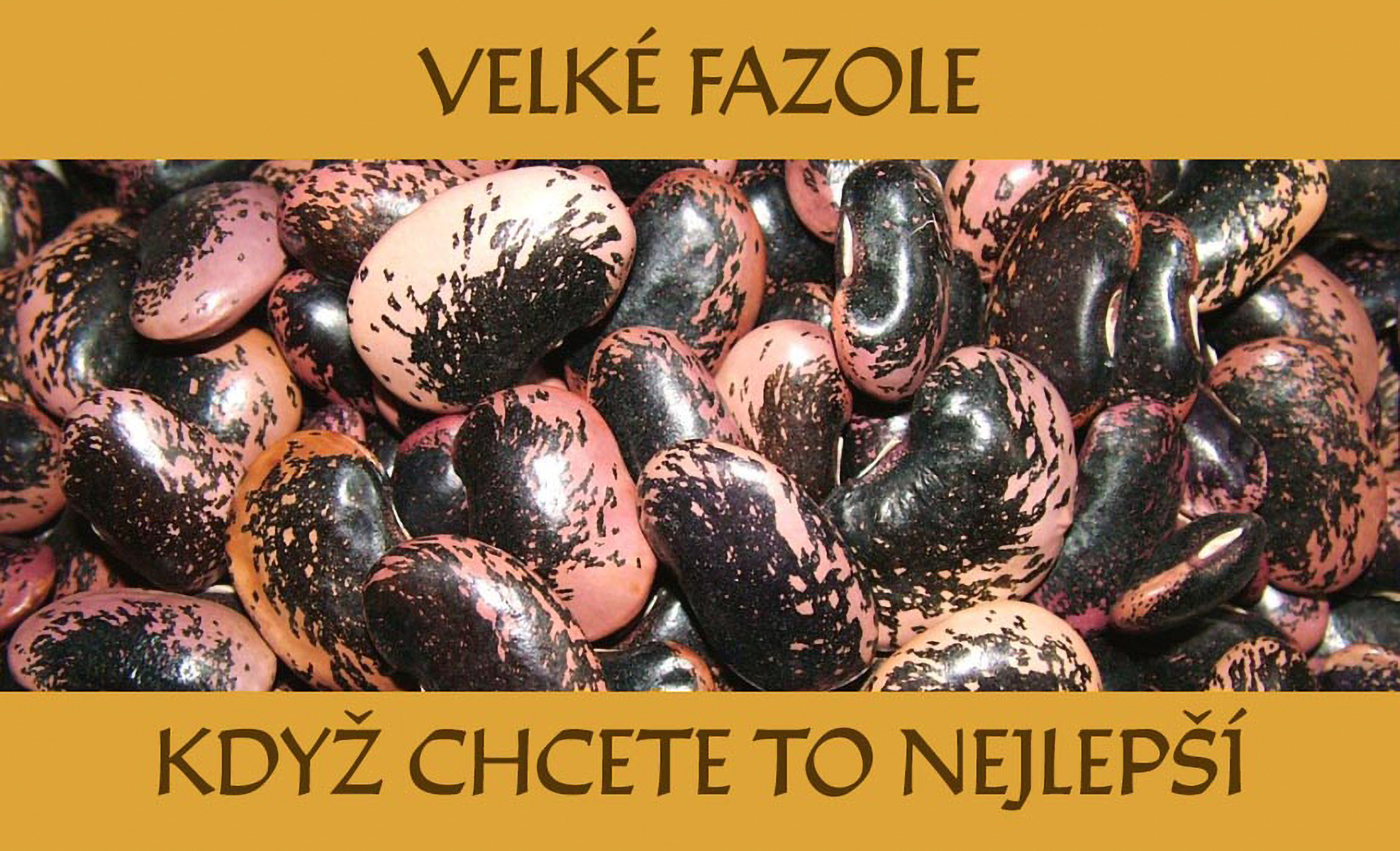 Velké fazole barevné švábky becoky