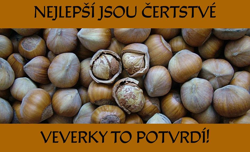 Lískové ořechy celé