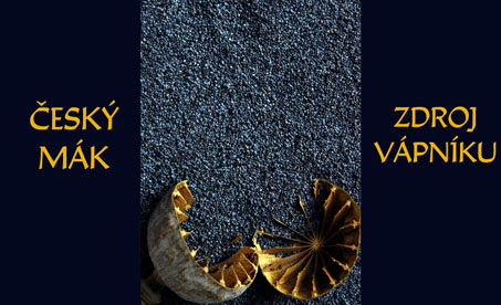 Český mák