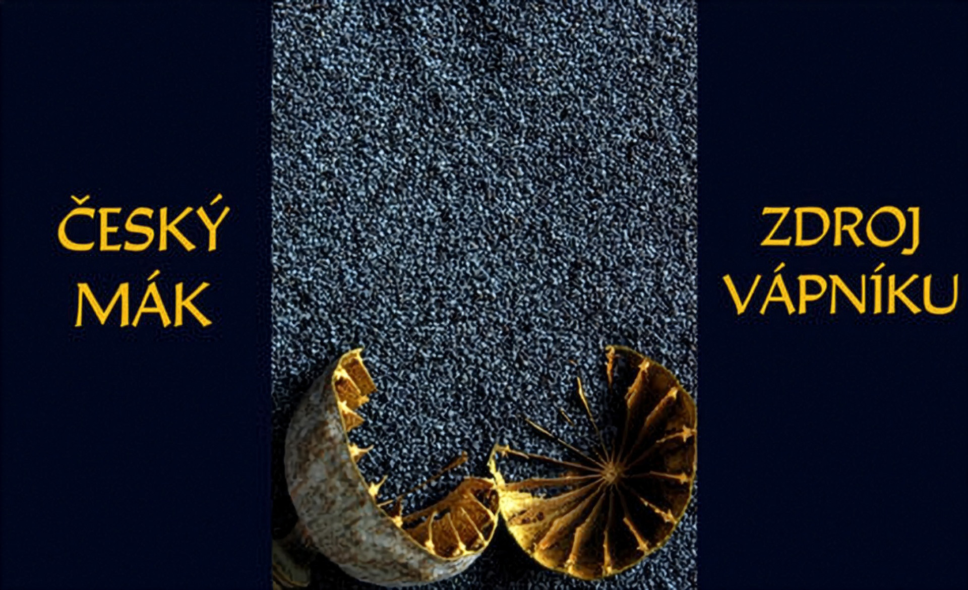 Český mák - zdroj vápníku