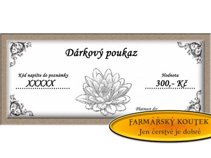 Darkovy poukaz 300