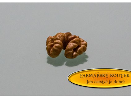 Vlasske orechy jadra