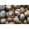 Lískové ořechy neloupané