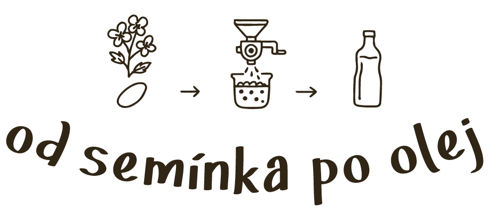 od-semínka-po-olej_postup
