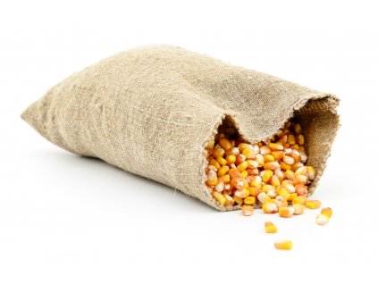 bag of corn kernels on white