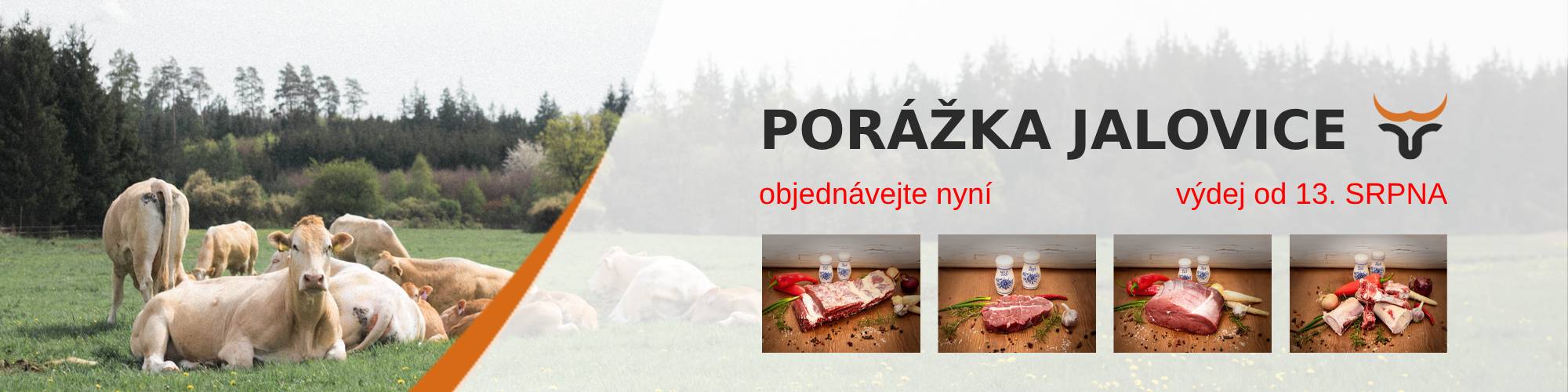 porazka býka duben 2025