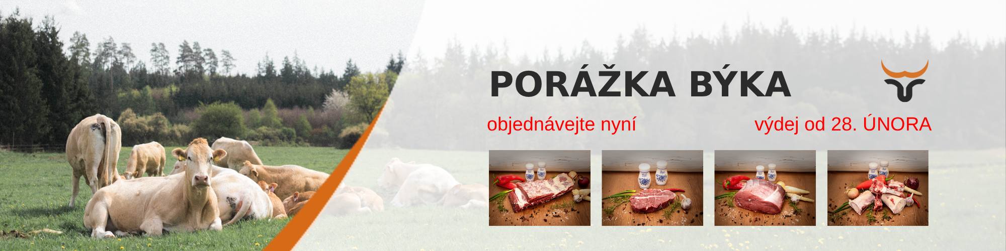 Porážka únor 2026