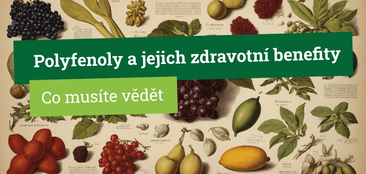 Objevte, co jsou polyfenoly i jejich pozoruhodné účinky na vaše zdraví
