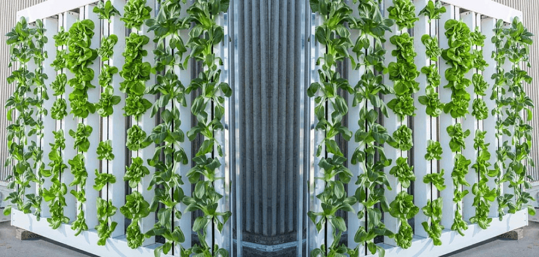 Jsou microgreens ekologické? Ano!