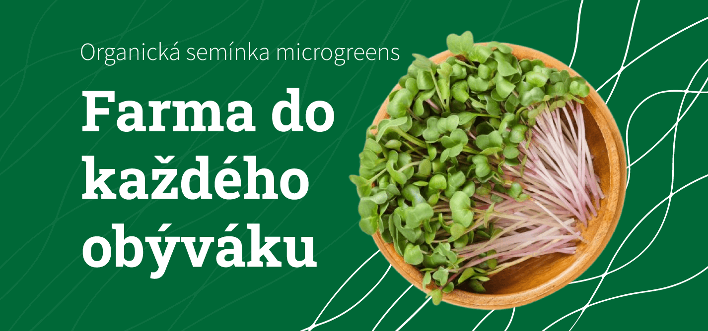 Microgreens semínka