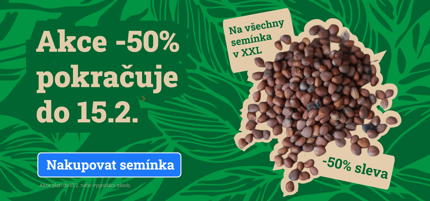 Sleva 50%