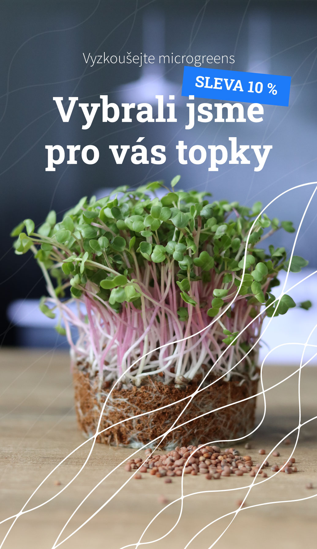 Nejoblíbenější microgreens se slevou