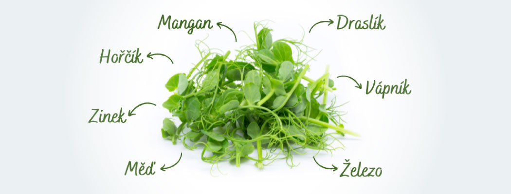 Minerály v microgreens