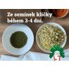 sprouting jar kolik