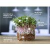 microgreens redkvicky ziviny ecom