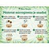 jak pestovat microgreens ecom