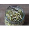 jar nahled