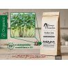 Hero FancyNew Daikon 50g HighComp