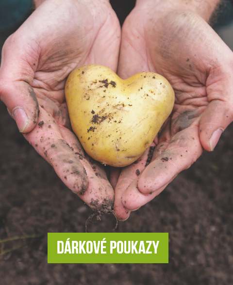 Dárkové poukazy