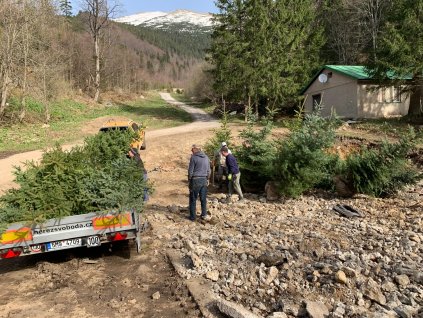 Výsadba našich stromů