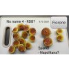 Fíkovník stromek Brogiotto Nero, Brogiotto bianco, Turca, Portogallo Lungo, Verdino, Panache, Fiorone, Dottato, Moro  Caneva, Gentile Bianco (Ficus carica) - 1,7 - 1,9 m
