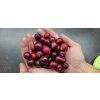Jahodový stromek (Psidium cattleianum)