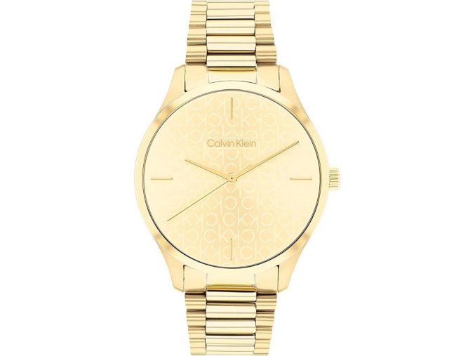 Hodinky CALVIN KLEIN model 25200221