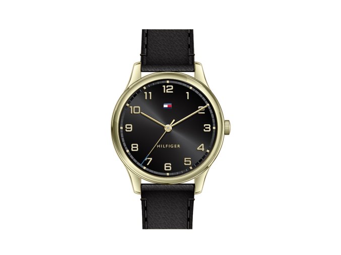 Hodinky TOMMY HILFIGER model 1791660