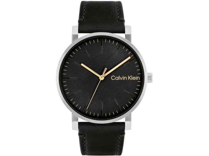 Hodinky CALVIN KLEIN model SLATE 25200262
