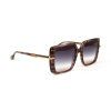 Ana Hickmann Sunglasses AH9362 E01 54