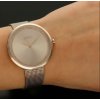 Hodinky HUGO BOSS model PRAISE 1502548