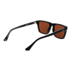 Web Sunglasses WE0379 56E 55