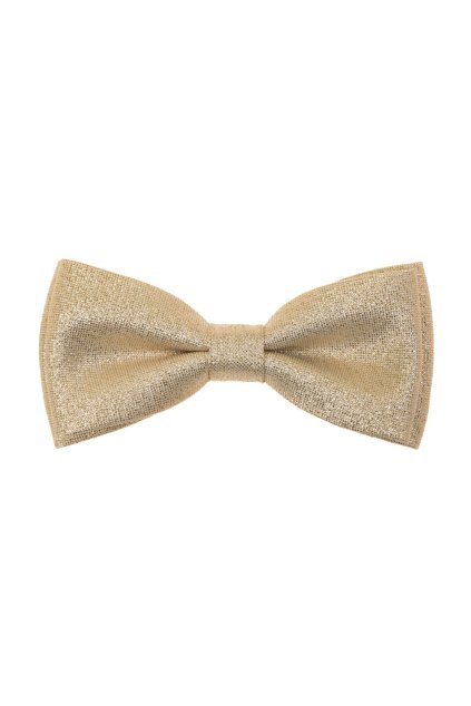 Motýlek s kapesníčkem zlatá 575-81395