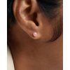 PG01 401 U beauty1