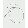 CO02 C29 U alt2(1)