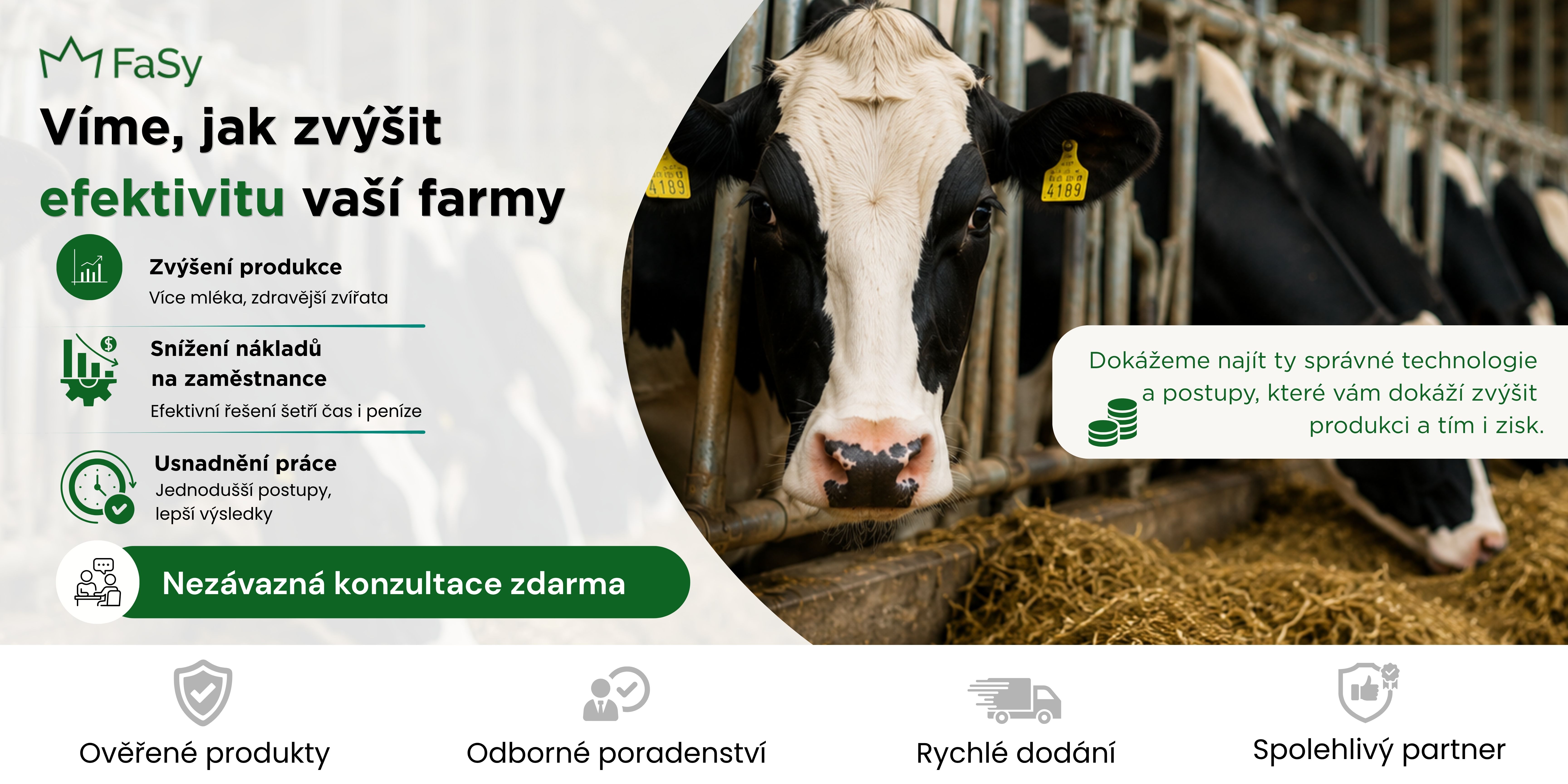 Konzultace, ověřený partner Fasy