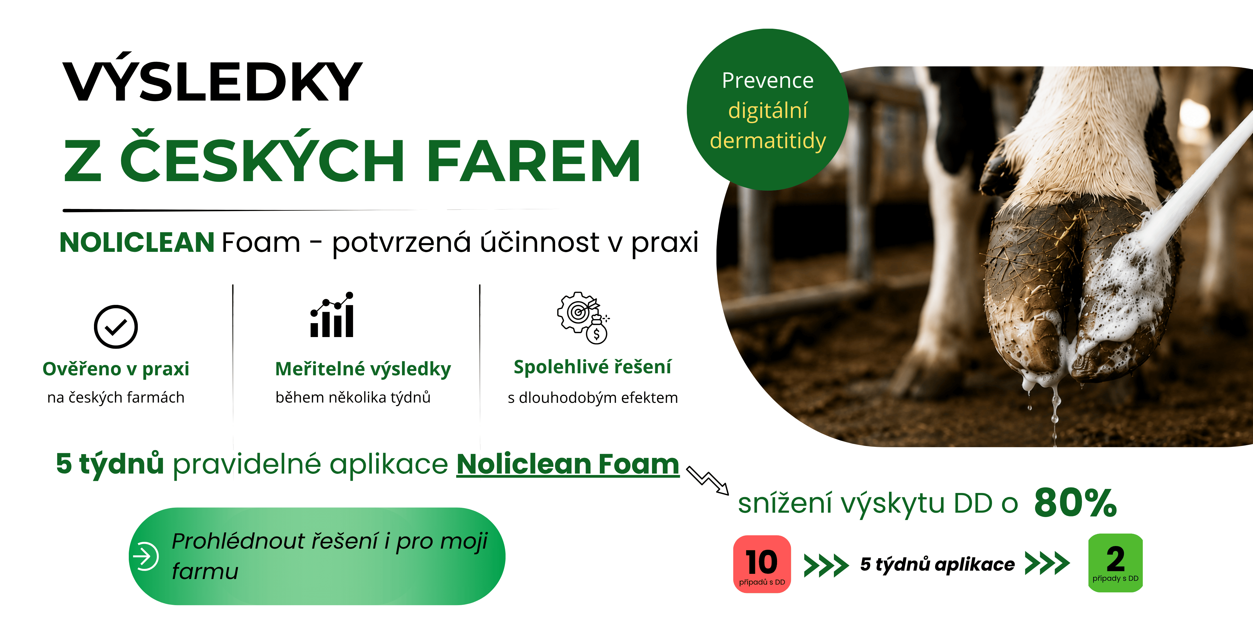 Výsledky z farem Noliclean, probiotická řešení, digitální dermatitida prevence