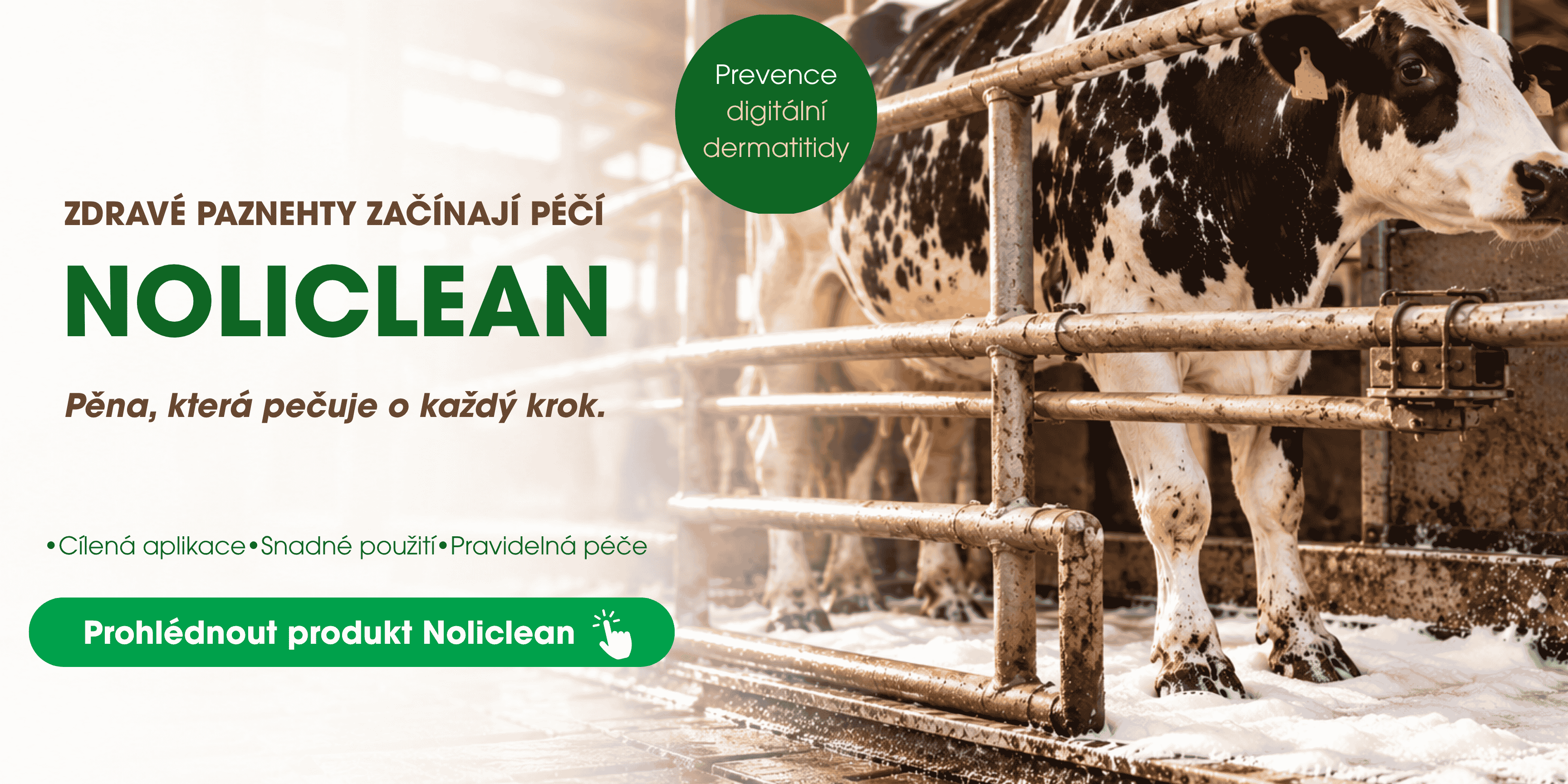 noliclean probiotická pěna na paznehty skotu