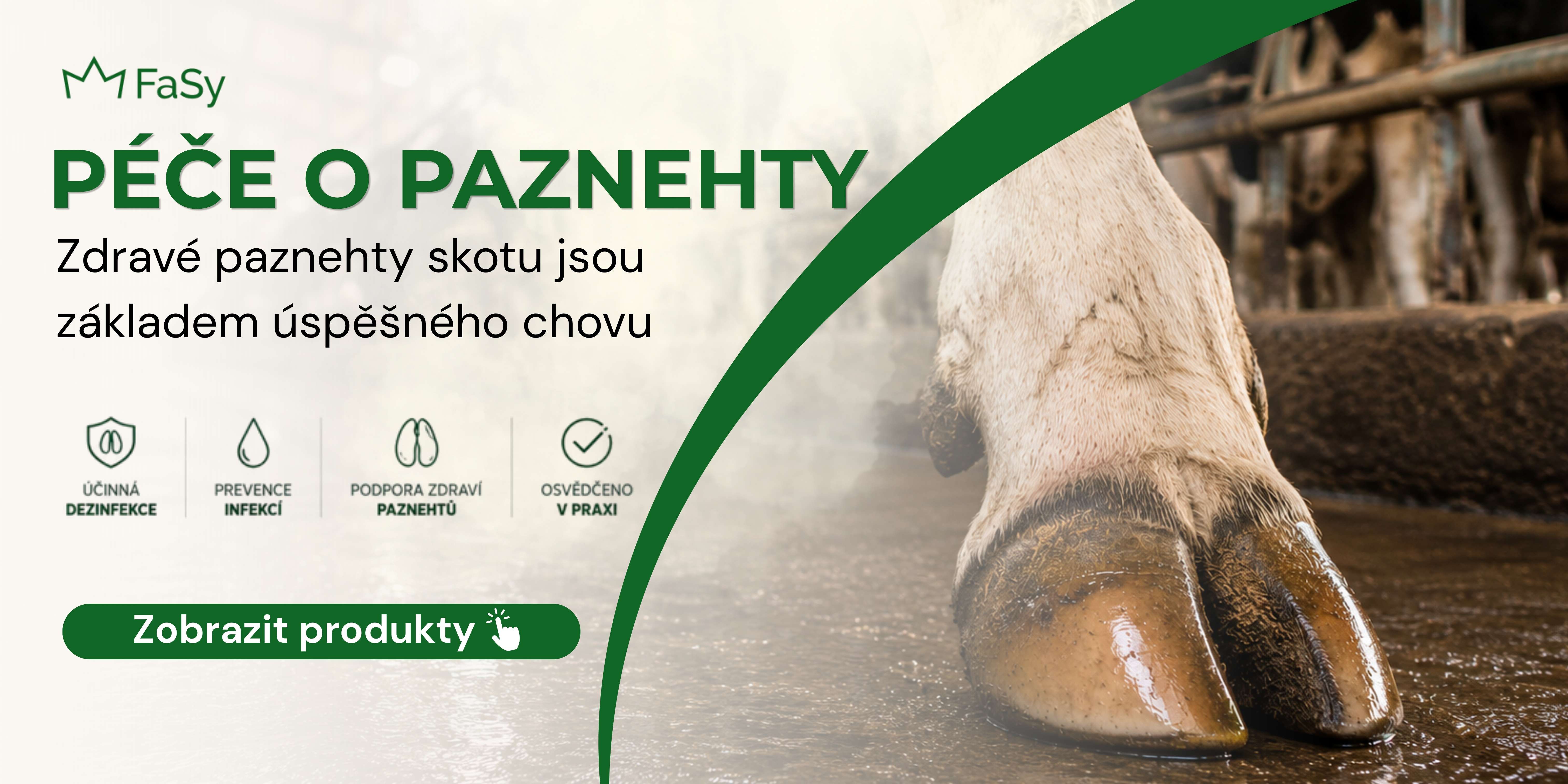 Péče o paznehty